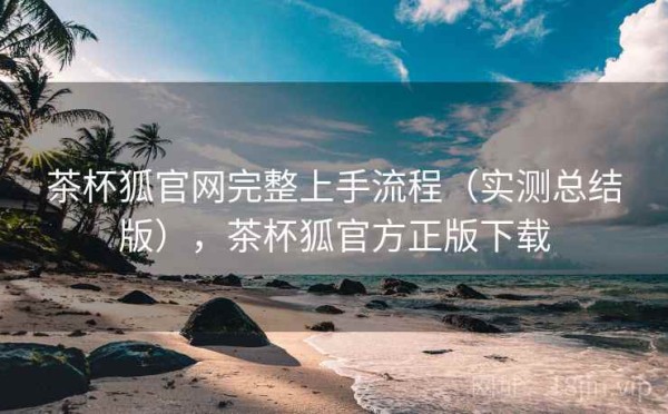 茶杯狐官网完整上手流程（实测总结版），茶杯狐官方正版下载