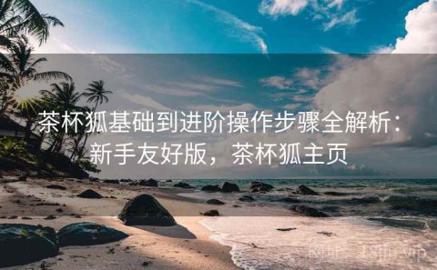 茶杯狐基础到进阶操作步骤全解析：新手友好版，茶杯狐主页