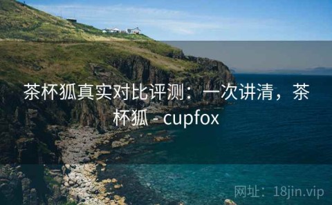 茶杯狐真实对比评测：一次讲清，茶杯狐 - cupfox