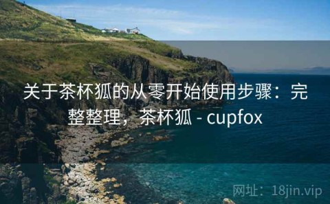 关于茶杯狐的从零开始使用步骤：完整整理，茶杯狐 - cupfox