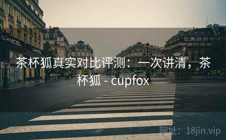 茶杯狐真实对比评测：一次讲清，茶杯狐 - cupfox